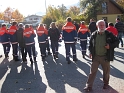 bild (74)
